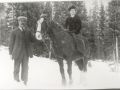 Almgren Family | 307