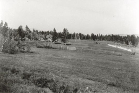 1989