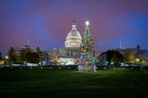 The 2020 Capital Christmas Tree passes through Park County, Colorado