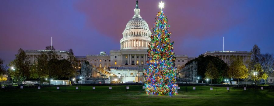 The 2020 Capital Christmas Tree passes through Park County, Colorado